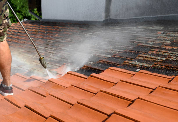 Best Roof Pressure Washing  in Borger, TX