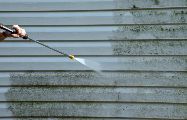 Best Concrete Pressure Washing  in Borger, TX